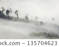 Landscape of Morning Mist with Mountain Layer. mountain ridge and clouds in rural jungle bush forest 135704623
