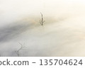 Landscape of Morning Mist with Mountain Layer. mountain ridge and clouds in rural jungle bush forest 135704624