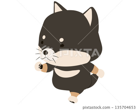 Walking black Shiba Inu Walking black Shiba Inu 135704653