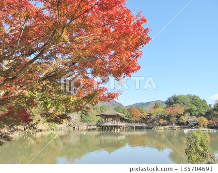 Autumn leaves and Ukimido Autumn leaves and Ukimido 135704691