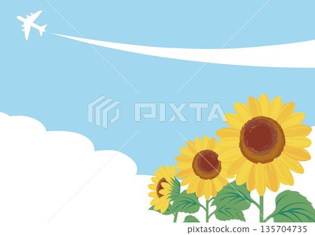 以夏日藍天和向日葵為背景。一幅清新明亮的風景插畫,其中還有飛機和尾跡。 以夏日藍天和向日葵為背景。一幅清新明亮的風景插畫,其中還有飛機和尾跡。 135704735