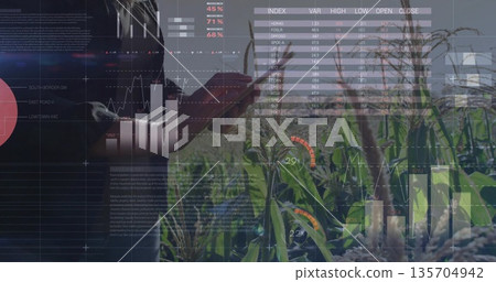 Analyzing crop health woman using tablet in corn field, with chart overlays, copy space 135704942