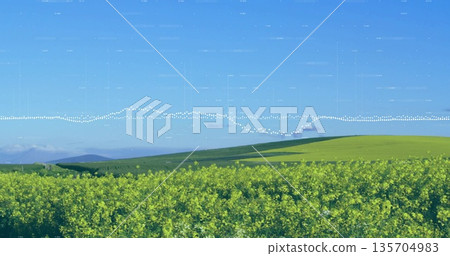 Spanning yellow flowering field under clear blue sky with green hills and dotted waveform overlay Spanning yellow flowering field under clear blue sky with green hills and dotted waveform overlay 135704983