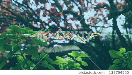 Showing colorful waveform overlay in forest edge with numeric data, green shrubs and red branches 135704990