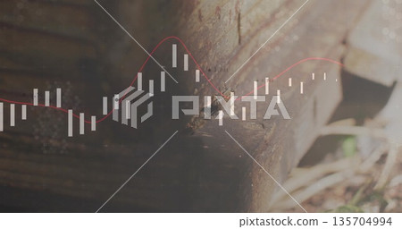 Aged beam corner displaying white candlestick bars and red trend line near ground, with soil debris 135704994