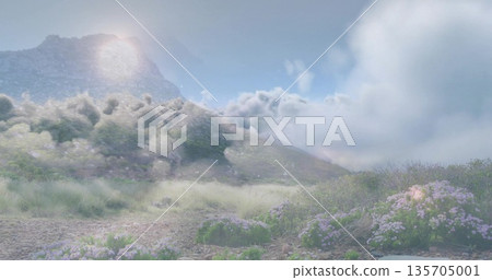 Framing cluster of purple bushes on meadow below mountain peak with drifting clouds, copy space 135705001