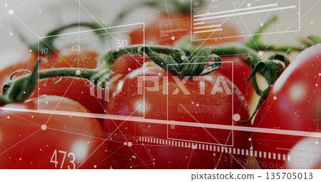 Showing ripe red tomatoes on vine with droplets in closeup with digital overlay showing data stats Showing ripe red tomatoes on vine with droplets in closeup with digital overlay showing data stats 135705013