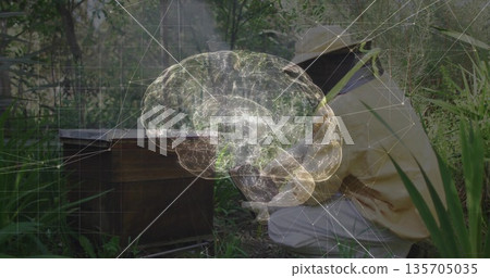 Crouching beekeeper wearing mesh-veil suit inspecting wooden hive in forest, showing brain overlay Crouching beekeeper wearing mesh-veil suit inspecting wooden hive in forest, showing brain overlay 135705035