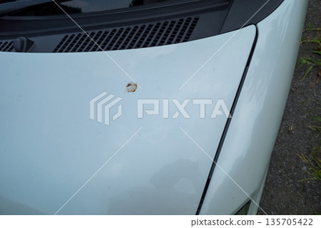 bird droppings on car 135705422