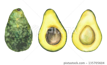 Watercolor avocado set. Whole and cut avocado fruit half with and without seed. Hand drawn illustration isolated from background for food design, healthy cosmetic label, packaging, menus, farm product 135705604