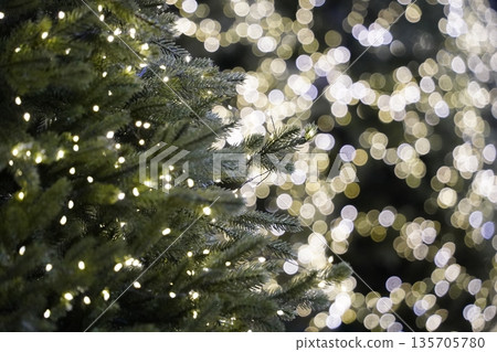Twinkling Christmas Lights on Evergreen Branches 135705780