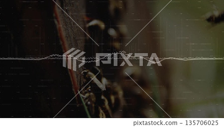 Crawling bees exploring wooden plank at outdoor apiary, with digital waveform overlay, copy space 135706025