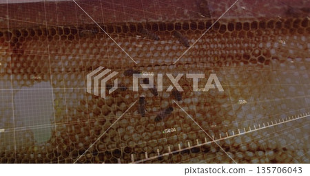 Showing honeycomb scanning on panel with overlaid grid, data panel, numeric data and scale bar Showing honeycomb scanning on panel with overlaid grid, data panel, numeric data and scale bar 135706043