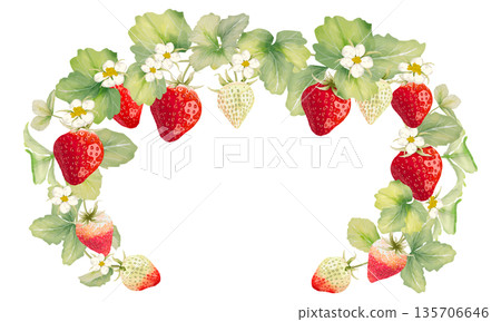 Watercolor strawberry decorative frame Watercolor strawberry decorative frame 135706646