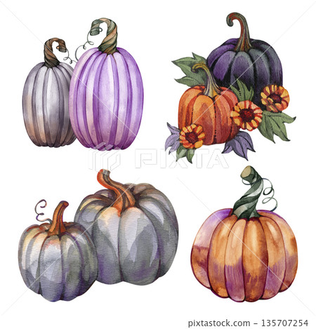 Watercolor set of autumn pumpkins in orange, gray, and lilac tones, hand-painted harvest illustration, cozy fall composition, botanical seasonal decor for Thanksgiving and rustic design Watercolor set of autumn pumpkins in orange, gray, and lilac tones, hand-painted harvest illustration, cozy fall composition, botanical seasonal decor for Thanksgiving and rustic design 135707254