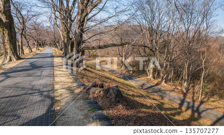 Winter Sewari Embankment, Yawata City, Kyoto Prefecture Winter Sewari Embankment, Yawata City, Kyoto Prefecture 135707277