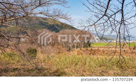 View of Oyamazaki from Sewari Embankment, Yawata City, Kyoto Prefecture 135707284