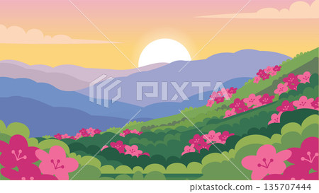 Blooming Hills Under Morning Sun 135707444