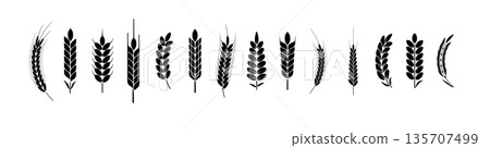 Wheat Ears Icons and Logo Set. For Identity Style. Organic wheat, bread agriculture. Vector Wheat Ears Icons and Logo Set. For Identity Style. Organic wheat, bread agriculture. Vector 135707499