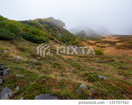 中央阿爾卑斯山索道沐浴在秋葉之中。 135707562