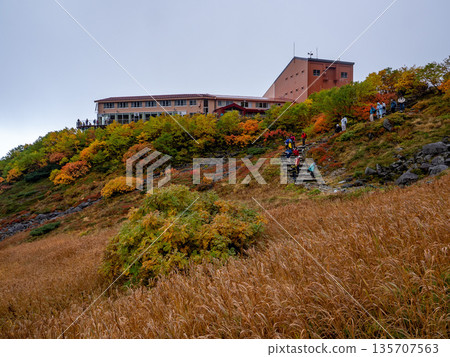 中央阿爾卑斯山索道沐浴在秋葉之中。 135707563