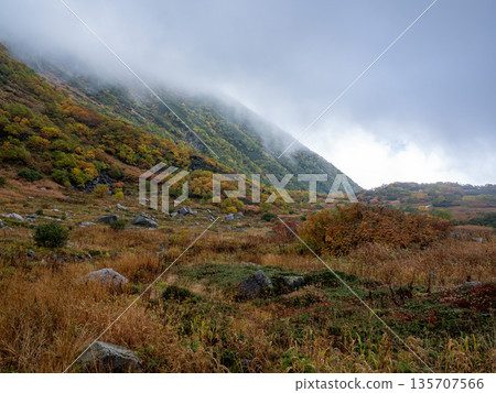 The Central Alps Ropeway bathed in autumn leaves 135707566
