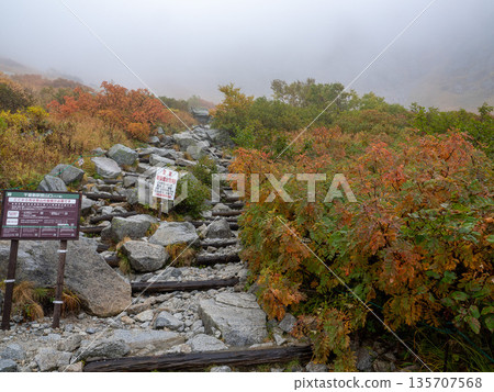 The Central Alps Ropeway bathed in autumn leaves 135707568