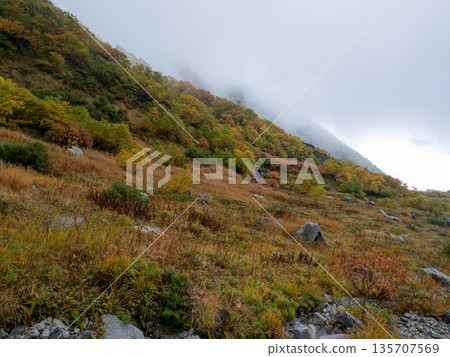 中央阿爾卑斯山索道沐浴在秋葉之中。 135707569