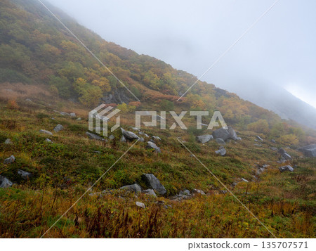 The Central Alps Ropeway bathed in autumn leaves The Central Alps Ropeway bathed in autumn leaves 135707571