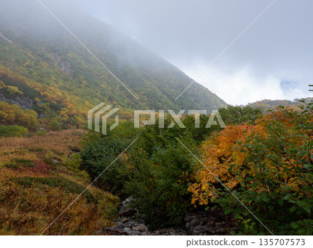 The Central Alps Ropeway bathed in autumn leaves The Central Alps Ropeway bathed in autumn leaves 135707573