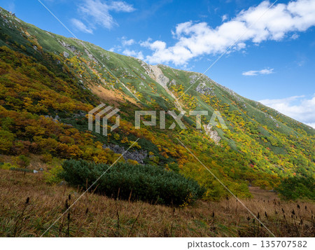 The Central Alps Ropeway bathed in autumn leaves 135707582