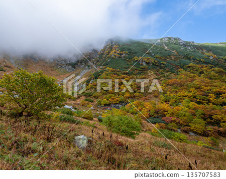 The Central Alps Ropeway bathed in autumn leaves The Central Alps Ropeway bathed in autumn leaves 135707583