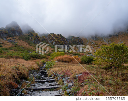The Central Alps Ropeway bathed in autumn leaves The Central Alps Ropeway bathed in autumn leaves 135707585