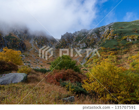 The Central Alps Ropeway bathed in autumn leaves The Central Alps Ropeway bathed in autumn leaves 135707591