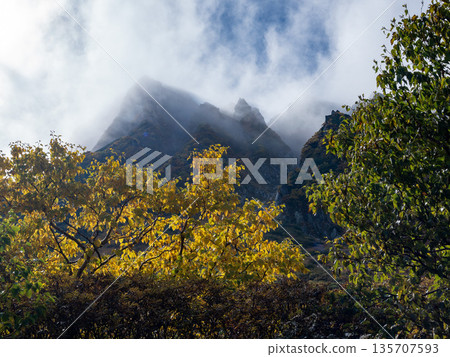 The Central Alps Ropeway bathed in autumn leaves 135707593