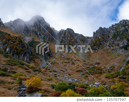 The Central Alps Ropeway bathed in autumn leaves The Central Alps Ropeway bathed in autumn leaves 135707597
