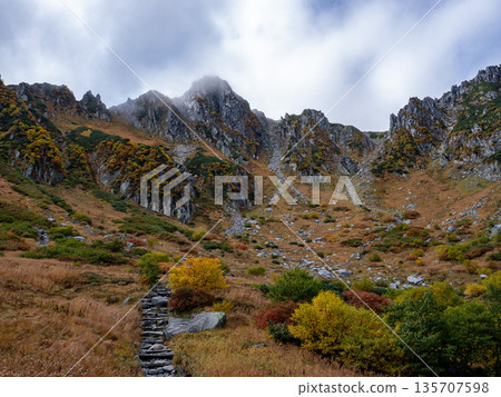 The Central Alps Ropeway bathed in autumn leaves The Central Alps Ropeway bathed in autumn leaves 135707598
