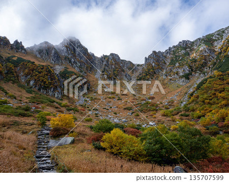 The Central Alps Ropeway bathed in autumn leaves The Central Alps Ropeway bathed in autumn leaves 135707599