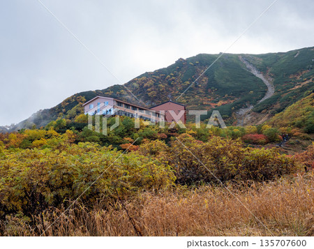 The Central Alps Ropeway bathed in autumn leaves The Central Alps Ropeway bathed in autumn leaves 135707600