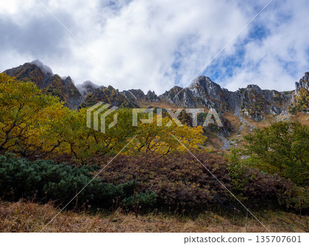 The Central Alps Ropeway bathed in autumn leaves The Central Alps Ropeway bathed in autumn leaves 135707601