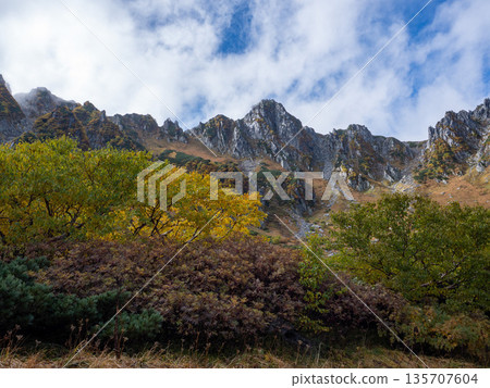 The Central Alps Ropeway bathed in autumn leaves The Central Alps Ropeway bathed in autumn leaves 135707604