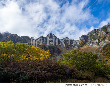 The Central Alps Ropeway bathed in autumn leaves The Central Alps Ropeway bathed in autumn leaves 135707606