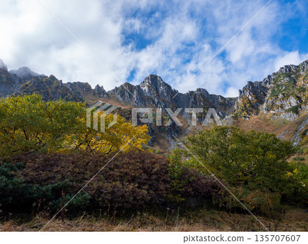 The Central Alps Ropeway bathed in autumn leaves The Central Alps Ropeway bathed in autumn leaves 135707607