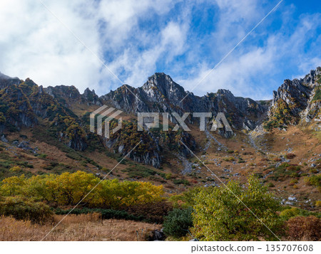 The Central Alps Ropeway bathed in autumn leaves The Central Alps Ropeway bathed in autumn leaves 135707608