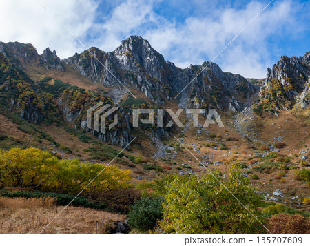 The Central Alps Ropeway bathed in autumn leaves The Central Alps Ropeway bathed in autumn leaves 135707609