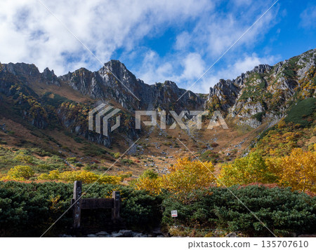 The Central Alps Ropeway bathed in autumn leaves 135707610