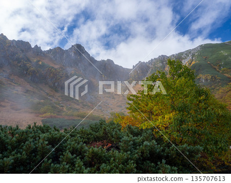 The Central Alps Ropeway bathed in autumn leaves The Central Alps Ropeway bathed in autumn leaves 135707613