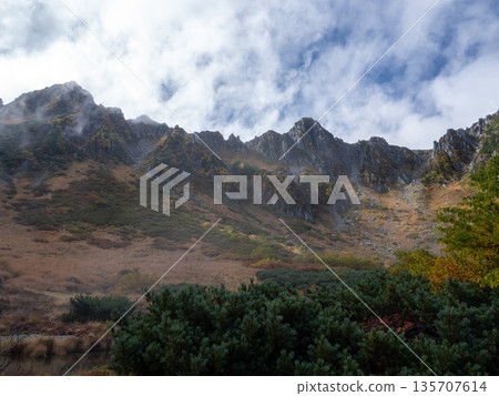 The Central Alps Ropeway bathed in autumn leaves The Central Alps Ropeway bathed in autumn leaves 135707614
