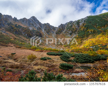 The Central Alps Ropeway bathed in autumn leaves The Central Alps Ropeway bathed in autumn leaves 135707616