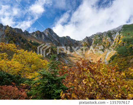The Central Alps Ropeway bathed in autumn leaves 135707617
